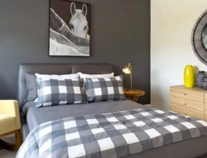 The Trail of Country Lane