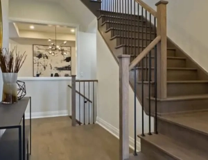 The Trail of Country Lane