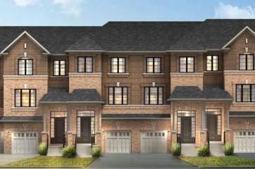 The Trail of Country Lane